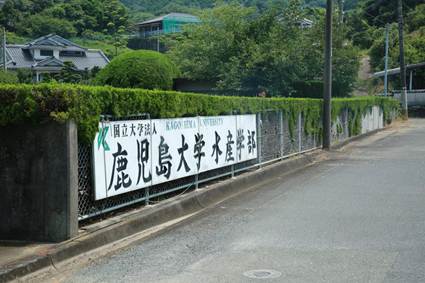 鹿儿岛大学水产学部